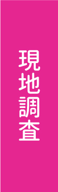 現地調査