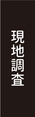 現地調査