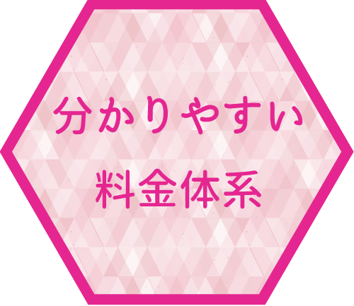 分かりやすい料金体系