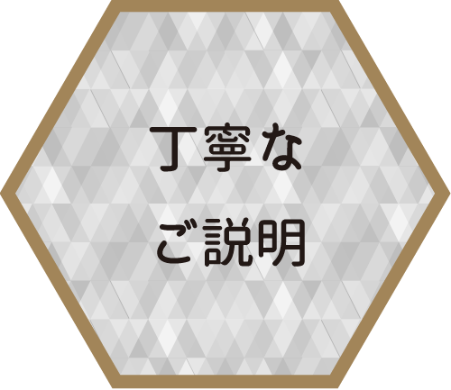 丁寧なご説明