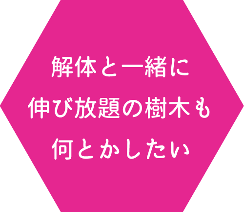 解体と一緒に伸び放題の樹木も何とかしたい